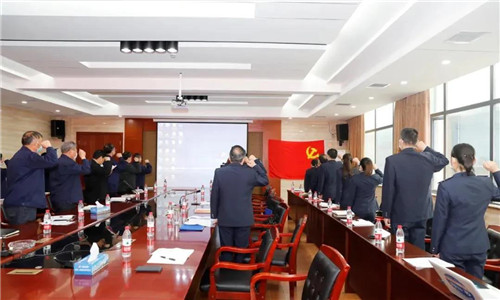 隨州市稅務(wù)局第一稽查局與程力汽車集團(tuán)的全體參會(huì)成員一起重溫國(guó)歌、并向黨旗莊嚴(yán)宣誓。